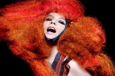 Divulgao/www.bjork.com