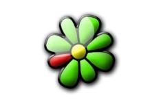 Reproduo/ICQ