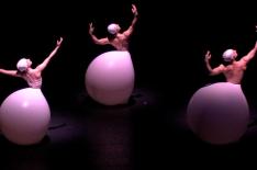 Evolution Dance Theater/Divulgao