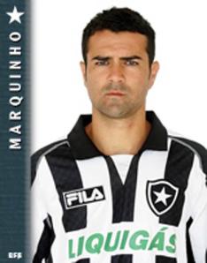 Divulgao / Site oficial Botafogo-RJ/