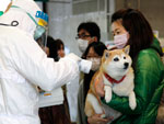 Mulher e cachorro passaram por detector de radiao nuclear na cidade de Koryama, na provncia de Fukushima, a 60 km da usina nuclear afetada pelo terremoto seguido tsunami, 16 de maro