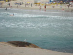 Praia da Joaquina