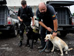 A Polcia Civil utilizou ces farejadores para encontrar as drogas nas residncias