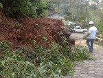 Uma rvore caiu sobre fiao e deixou a rua Rosrio, no  Bairro Ponta Aguda, sem energia eltrica.