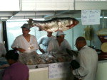 No Mercado Pblico, uma carpa de 17kg integrou a decorao de uma das bancas e atraiu curiosos