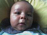 Meu filhote Bernardo com 3 meses.Lindo e gorducho. Mame.