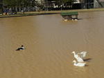 Parque Ramiro Ruediger fechado aps a enchente
