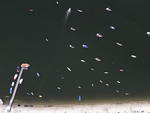 Reprter Voador do Santa, Patrick Rodrigues fotografou de parapente as praias de Bombinhas e Porto Belo.