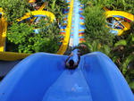 Parque gua Show foi uma das opes para se refrescar do calor nesta quinta-feira.