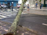 A tempestade causou estragos na cidade