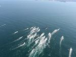 Barcos da Volvo Ocean Race se aproximando da costa