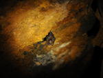 Morcego buscam refgio na caverna das Minas de Prata