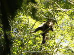 Parque Nacional Serra do Itaja