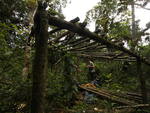 Estrutura abandonada pelos caadores em Guabiruba