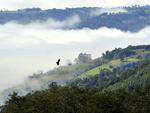 Nevoeiro que cobriu os vales da regio leste de So Miguel do Oeste na zona rural.