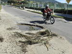 Estrada Drio Manoel Cardoso, Ingleses, Florianpolis