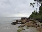 Praia da Saudade, em Penha, tem ares de territrio isolado.  um local com vegetao e perfeito para quem procura tranquilidade