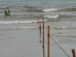 Tera-feira: Prefeitura de Itapema interdita faixa de 150 metros da orla da Meia Praia devido ao grande volume de peixes mortos
