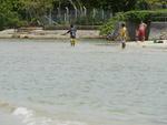 A praia Perequ, em Porto Belo, homenageia o Rio Perequ, que tem origem indgena. Vem da juno dos sufixos “pira”, que significa peixe, e” k”, que  igual  peixe. A traduo seria lugar onde h peixes ou viveiro de peixes