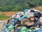 Tera-feira: Ministrio pblico fecha lixo de Cambori. Principal razo da medida  o material depositado no local nunca ter sido tratado da forma correta