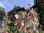 Quarta-feira: Pomerode comea a se enfeitar para a 5 Osterfest. A Osterbaum, rvore de Pscoa, colocada em p em frente ao Centro Cultural, foi decorada com 14 mil casquinhas coloridas