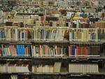 Biblioteca da Universidade Regional de Blumenau (FURB) completa 45 anos