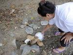 Moradora da Rua 1 de Janeiro encontrou quatro cachorros no terreno ao lado da casa dela na manh desta tera-feira