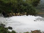 Tera-feira: Espuma branca se forma sobre o Rio Itaja-Au, em Blumenau