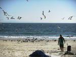 Pescadores recolhem as redes, desmontam os ranchos e acertam as contas da pesca da tainha, que encerra mais cedo esse ano.