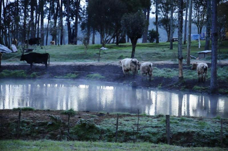 Tópico do frio [+neve] [+ geada] 15355422