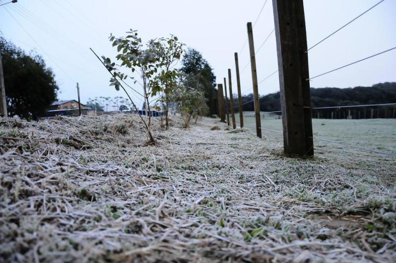 Tópico do frio [+neve] [+ geada] 15355652