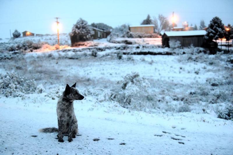 Neve atinge mais de 20 municípios gaúchos 15512086