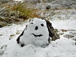 Bonecos de neve encantam a paisagem