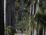 Rua das Palmeiras - Reprter do Santa percorreu 163 km de bicicleta por vrios bairros da cidade