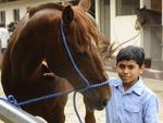 Joo Pedro com o cavalo que adotou