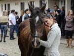 July Nuernberg e seu cavalo adotado