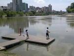 Vrias pessoas aproveitaram o feriado de Proclamao da Repblica ir ao parque, namorar, nadar e at pescar em Blumenau