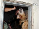 Com a ajuda do cachorro Marley, DEIC faz operao no Morro do 25 e apreende traficantes.