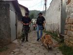 Com a ajuda do cachorro Marley, DEIC faz operao no Morro do 25 e apreende traficantes.