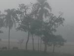 A temperatura mnima de Blumenau foi registrada s 6h45min quando os termmetros marcaram 15,3C. A mxima desta tera-feira ficar em torno dos 23C.