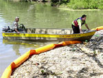 Funcionrios da Secretria de Obras de Sapucaia do Sul retiram os ltimos peixes mortos do Rio dos Sinos 