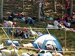 Integrantes da Via Campesina preparam acampamento em rea de plantio de eucalipto