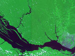 Foto de satlite mostra Manaus (mancha cinza) s margens do Rio Amazonas. As guas em preto mostram o rio Negro e em roxo o Solimes