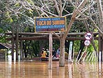 Placas e rvores ficaram submersas at a metade 