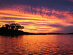 Bruna Arajo de S, Uruau/GO: PEsta foto foi tirada as margens do Lago de Serra da Mesa. A localidade fica prxima ao Corrego do Ouro Fino, na regio Ouro Fino entre Uruau e Niquelndia. Espero que gostem