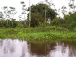 Gara gigante Rio Guapor, divisa Brasil x Bolvia