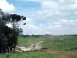 Fazenda Morro Grande, de Roceli Spautz, localizada em Calmon-SC, entre Caador e Porto Unio. Incio da safra 2007/2008 de soja e milho