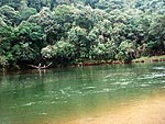 Atividade de educao ambiental realizada no parque Serra da Cantereira com jovens da comunidade do Jardim Conquista 