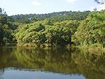 Parque estadual da Cantareira, em So Paulo