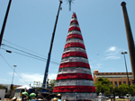 A rvore do projeto Usina de Natal ganhou uma estrela com 6 metros de dimetro 